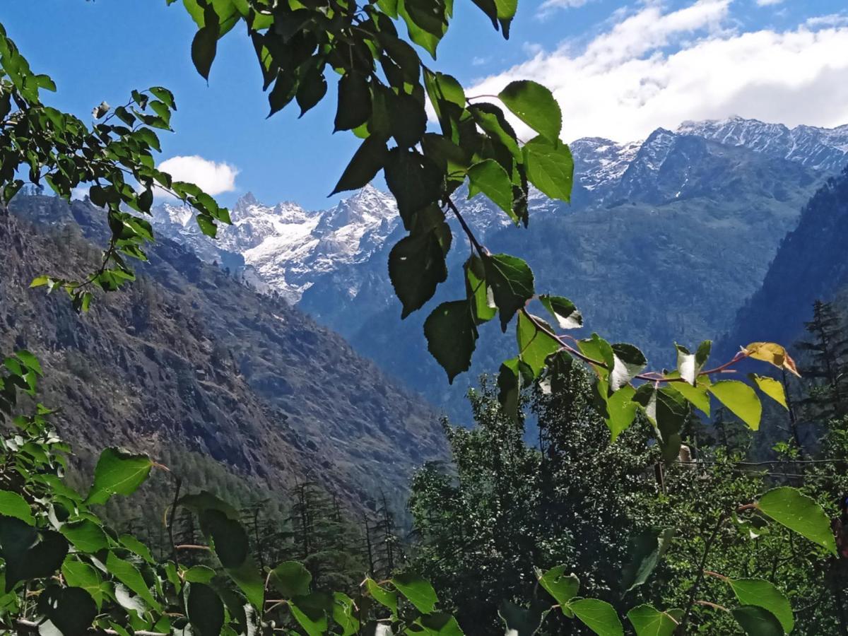 Kasol View Hotel Ngoại thất bức ảnh